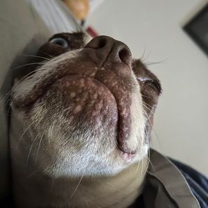 Meet your Posher, Jacob